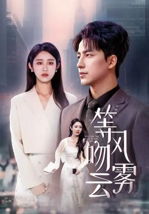 热播电视剧全集长夜灯影手机免费在线观看