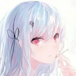 网友头像